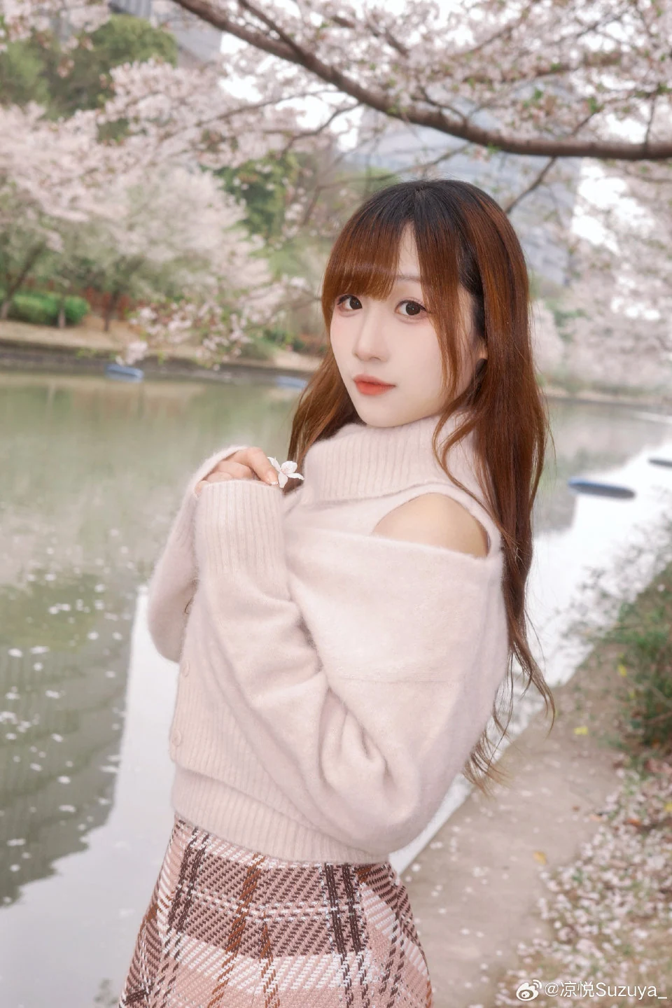 空气是樱花味的