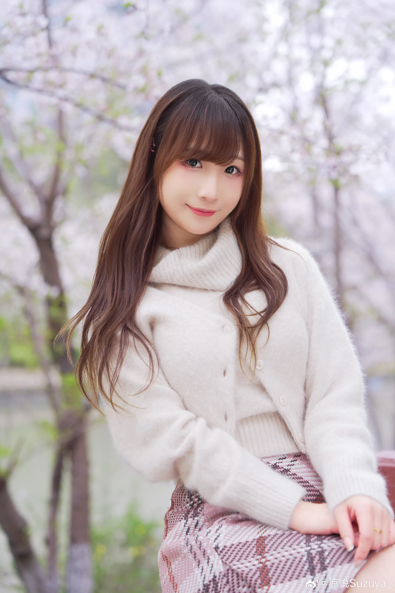 凉悦的樱花写真